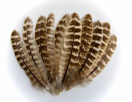 Mye fjær, nakker, hår, bucktail og kroker har kommet! 