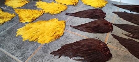 Hen saddles til farging har kommet! Banana og pahtakorva ble farget! 