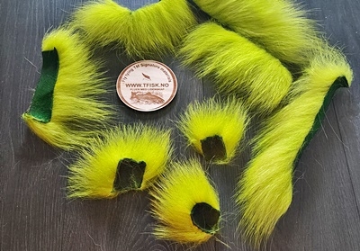 Isbjørnhår av fluo yellow og fluo green ble farget denne helgen!