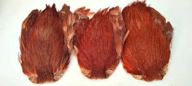 cock saddle brown