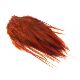fierry brown