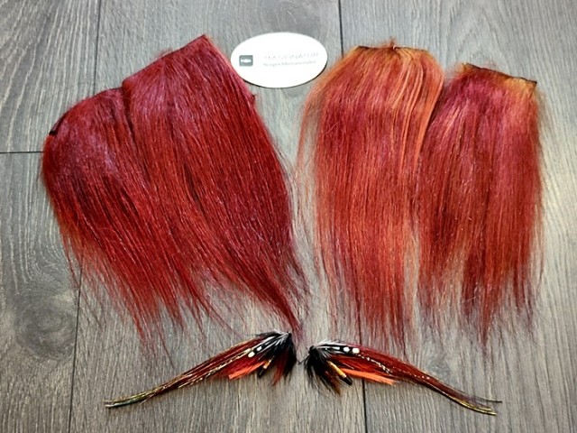 pahtakorva og fiery brown