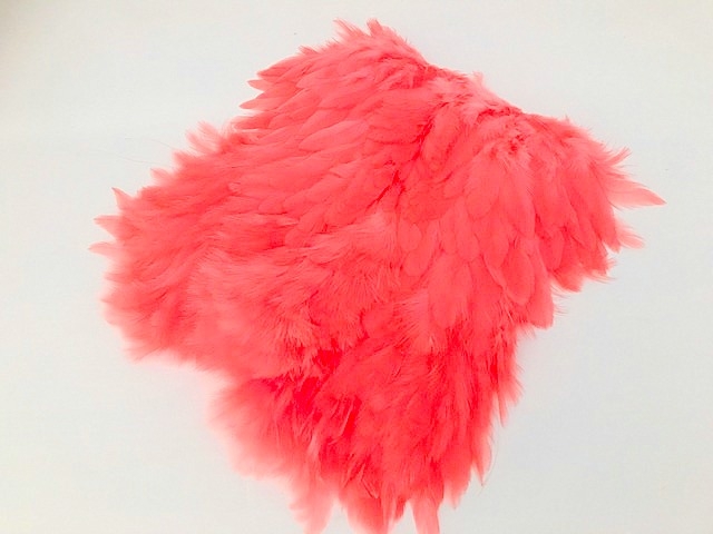 shrimp pink