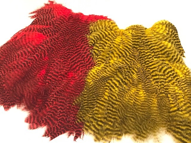 grizzly red and yellow