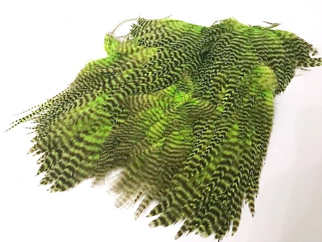 grizzly chartreuse USA