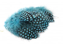 silver doctor blue
