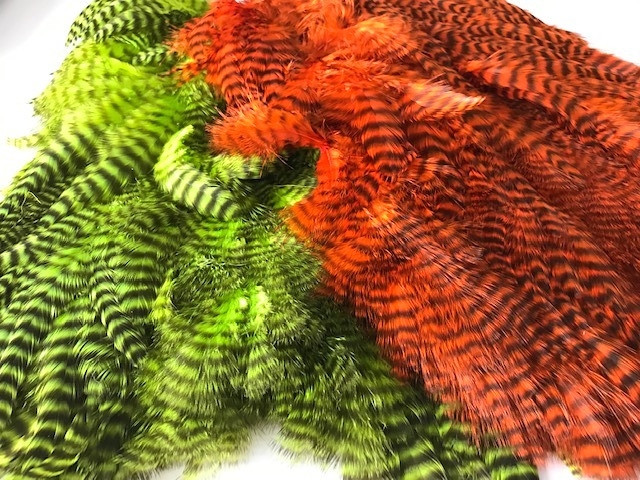 grizzly chartreuse and  orange USA