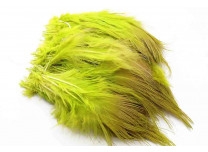 chartreuse