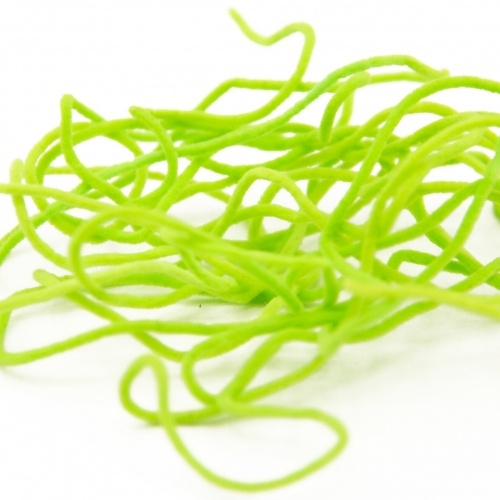 Rhyacophilia green