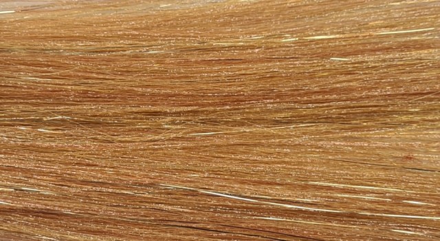 cinnamon
