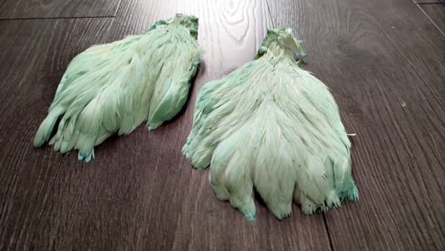 hen capes