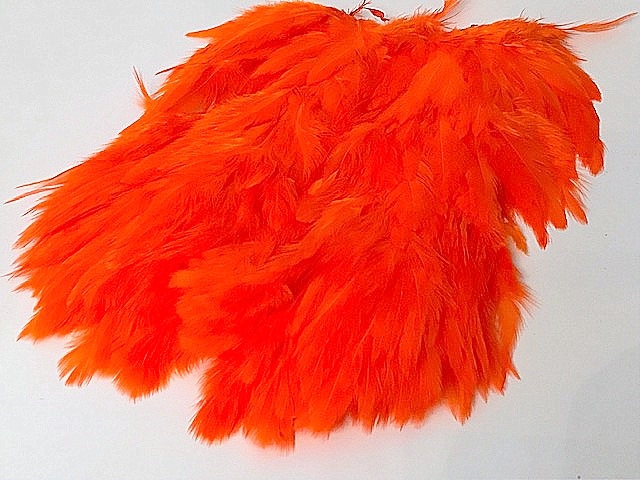 hot orange USA