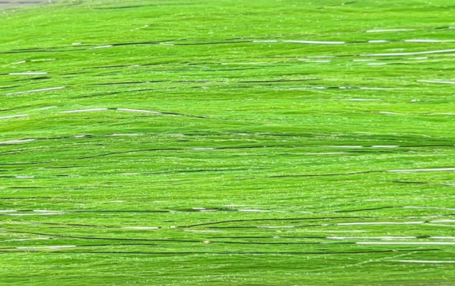 chartreuse