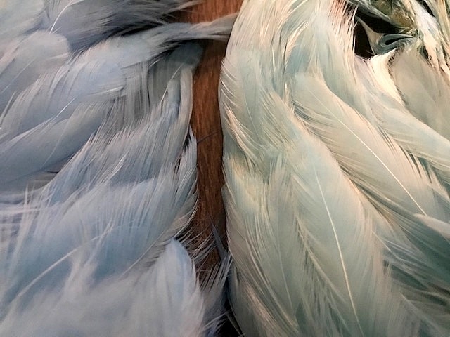 silver Doctor blue og Sillen